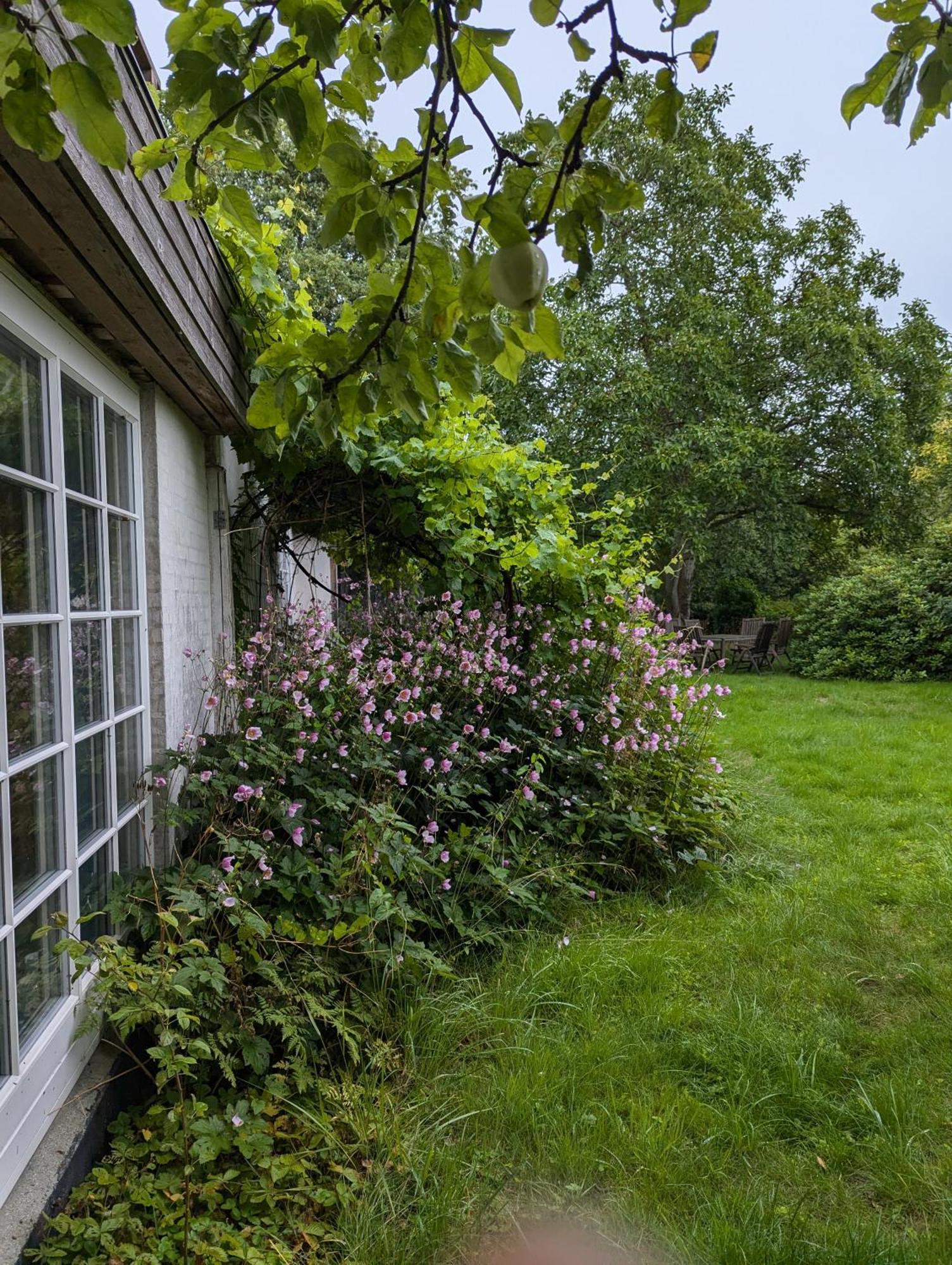 Lejlighed Ved Skov Graested Exterior photo